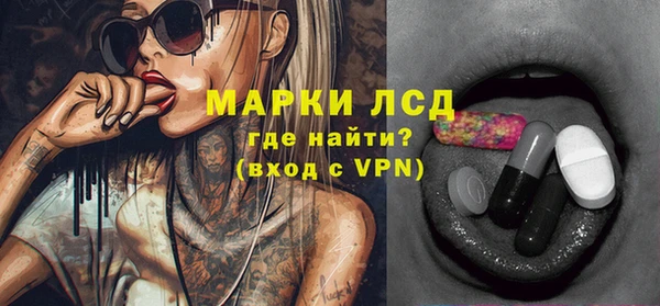 индика Богородицк