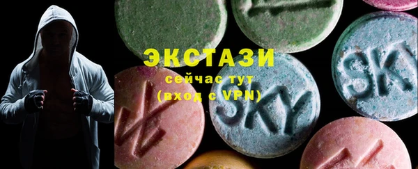 индика Богородицк