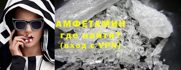 индика Богородицк