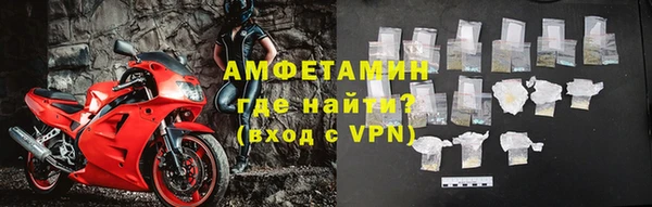 индика Богородицк