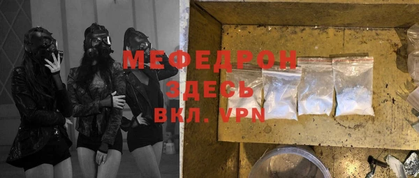 индика Богородицк