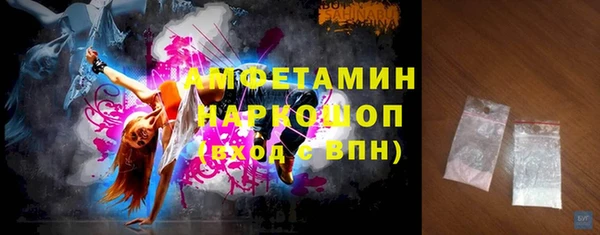 индика Богородицк