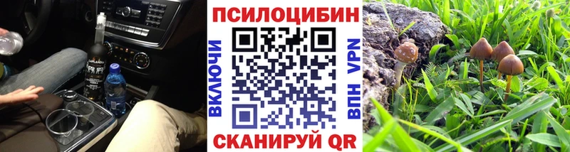 Галлюциногенные грибы GOLDEN TEACHER  Боготол 