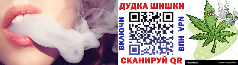 где купить   Боготол  Шишки марихуана Amnesia 